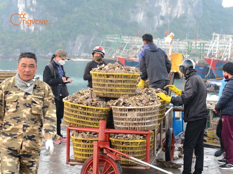 Thời Tiết Chợ Cái Rồng Quảng Ninh