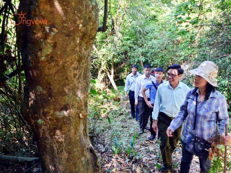Thời Tiết Đảo Ba Mùn Quảng Ninh