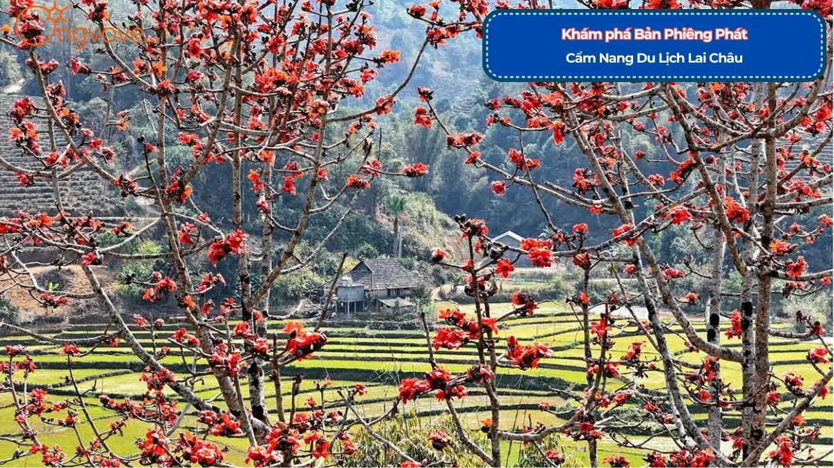 Bản Phiêng Phát Lai Châu Tự Túc