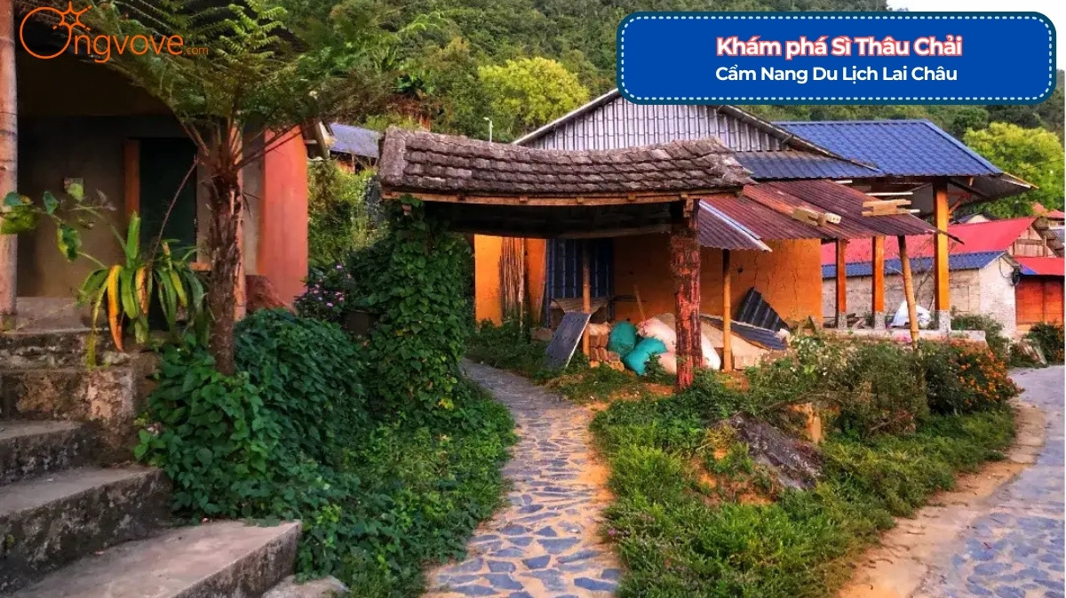 Sì Thâu Chải Lai Châu Tự Túc
