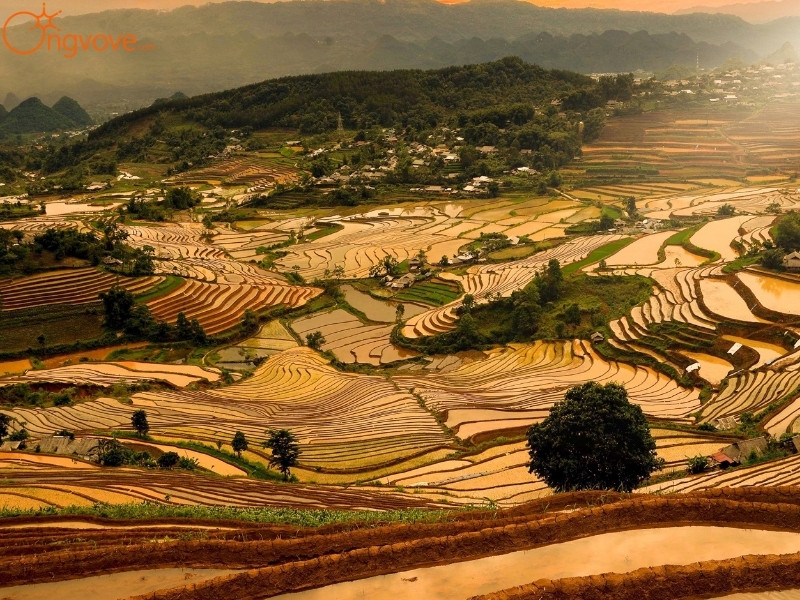 Các Địa Điểm Tham Quan Nổi Tiếng Tại Đồi Thông Tả Lèng Huyện Tam Đường Lai Châu