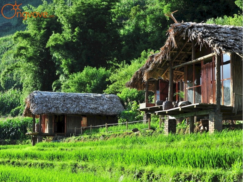 Các Dịch Vụ Lưu Trú Cây Cô Đơn Ta Gia Lai Châu