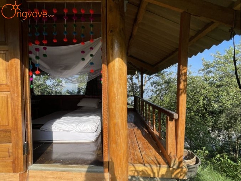 Các Dịch Vụ Lưu Trú Gần Cây Di Sản Lai Châu: Trải Nghiệm Nghỉ Dưỡng Đa Dạng