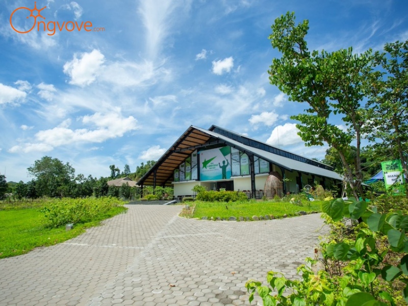 Các Dịch Vụ Lưu Trú Gần Khu mộ cổ Đống Thếch Hòa Bình