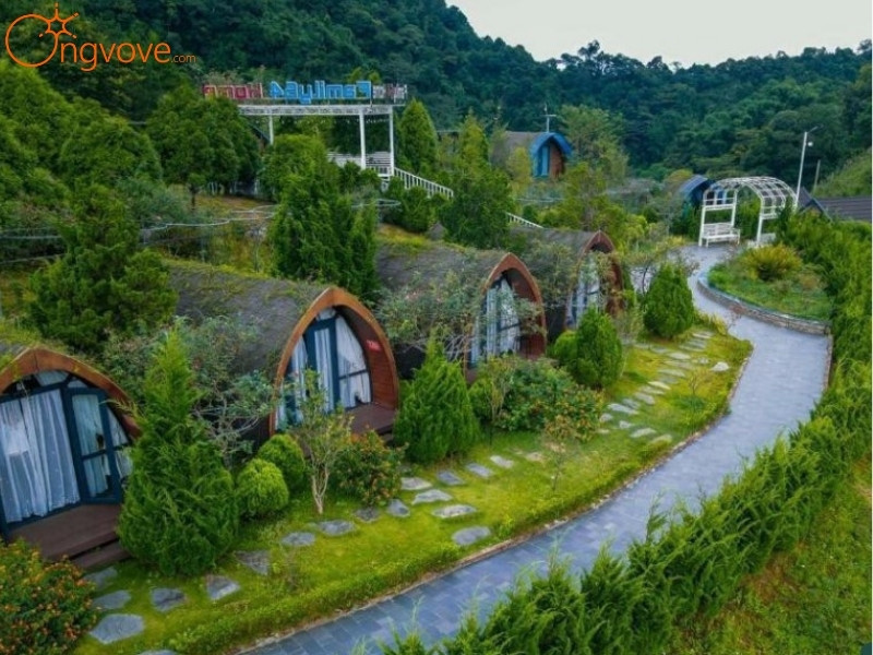 Các Dịch Vụ Lưu Trú Bản Phiêng Phát Lai Châu Tự Túc