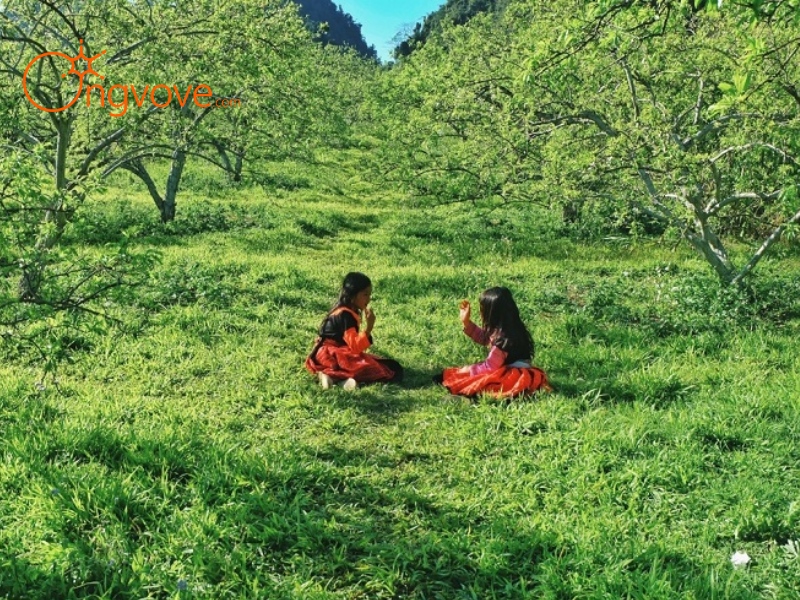 Cách Di Chuyển Đến Bản Pa Phách – Kinh Nghiệm Thực Tế