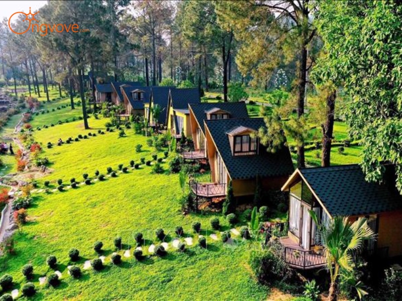 Cảnh Đẹp Tại Một Khu Vườn Sơn La 
