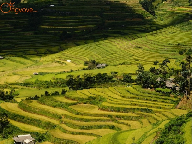 Các Địa Điểm Tham Quan Nổi Tiếng Sì Thâu Chải Lai Châu: Điểm Đến Không Thể Bỏ Qua Khi Du Lịch Tự Túc