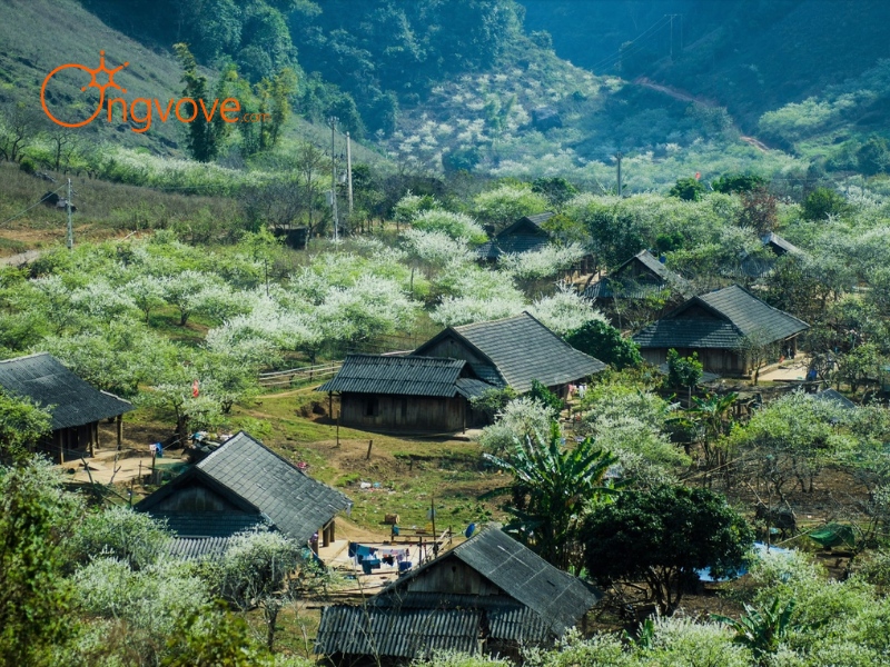 Đôi nét về Thung lũng Phiêng Luông 