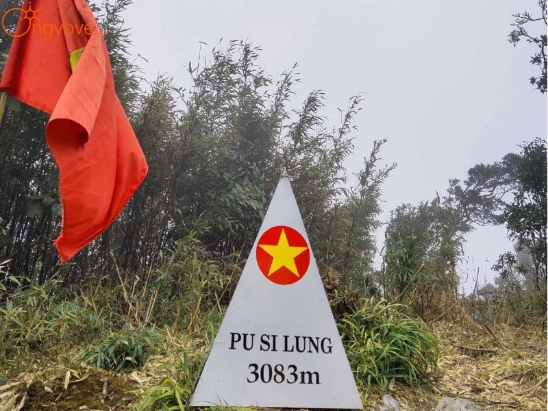 Giới Thiệu Đỉnh Pu Si Lung Lai Châu tự túc