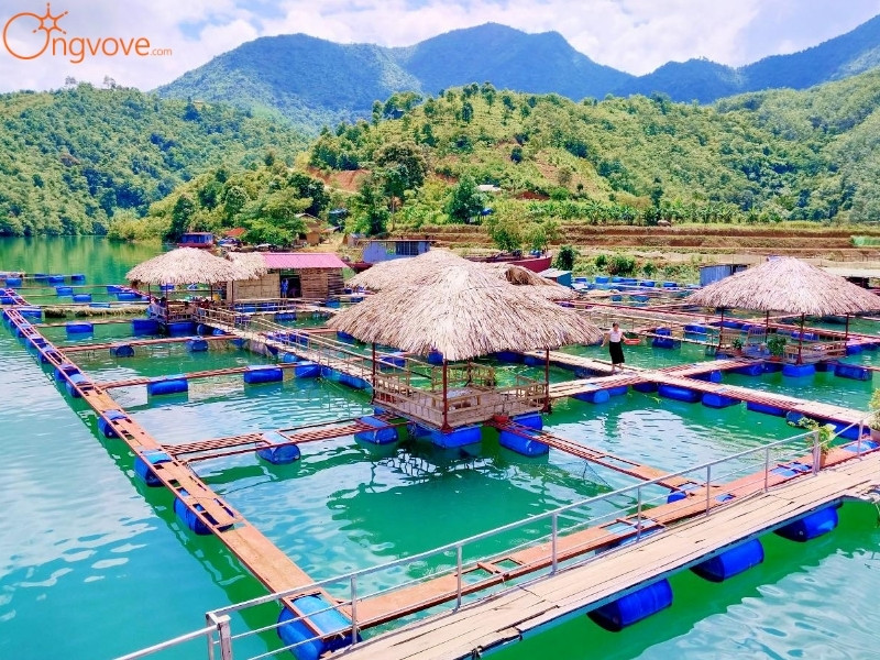 Giới Thiệu Làng Cá Thẳm Phé Lai Châu