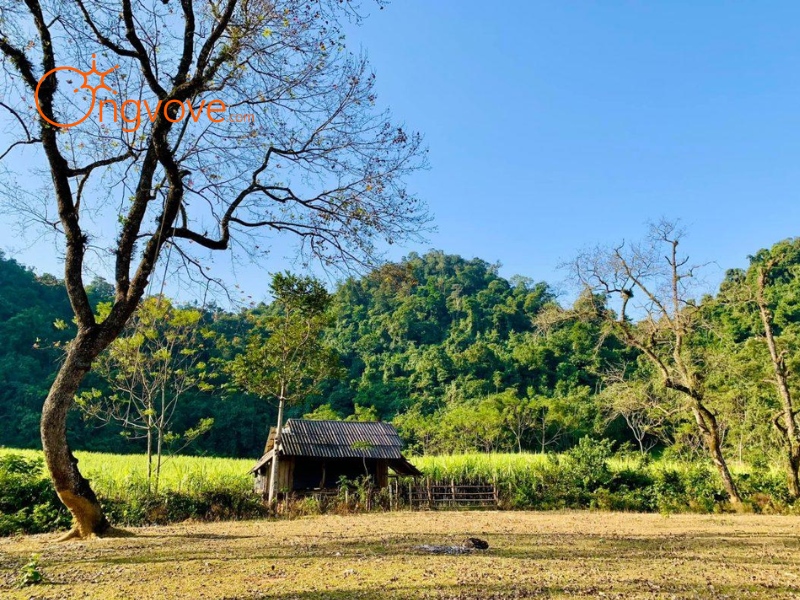 Giới thiệu về Bãi Bùi – Thảo nguyên đẹp như tranh giữa lòng Hòa Bình