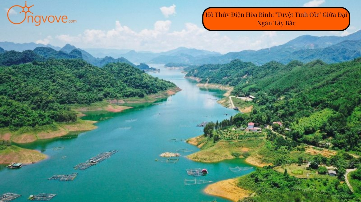 Nhà máy Thủy điện Hòa Bình tự túc