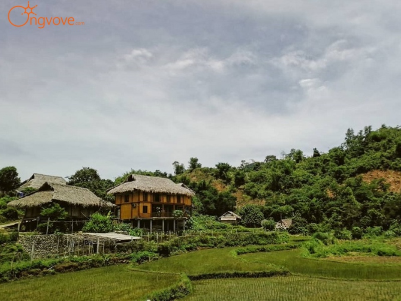 Hướng Dẫn Di Chuyển Đến Bản Giang Mỗ Hòa Bình Tự Túc