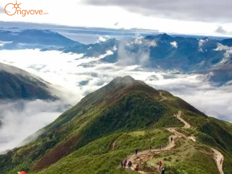 Hướng dẫn di chuyển đến Sống Lưng Khủng Long - điểm Săn Mây Sơn La tự túc