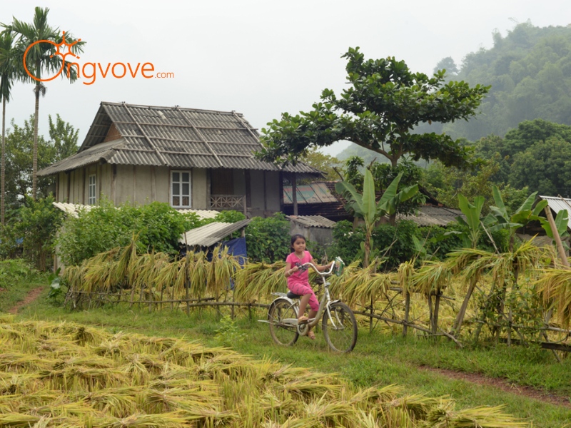 Kinh nghiệm du lịch Hòa Bình tự túc
