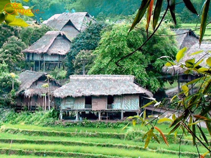 Kinh Nghiệm Khám Phá Bản Giang Mỗ Hòa Bình Tự Túc