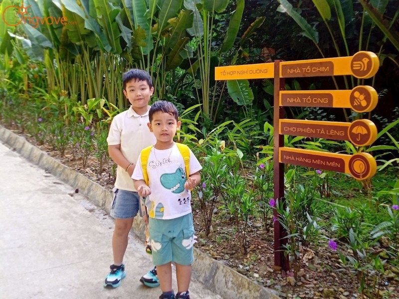 Kinh Tế Đồi Thông Tả Lèng Huyện Tam Đường Lai Châu