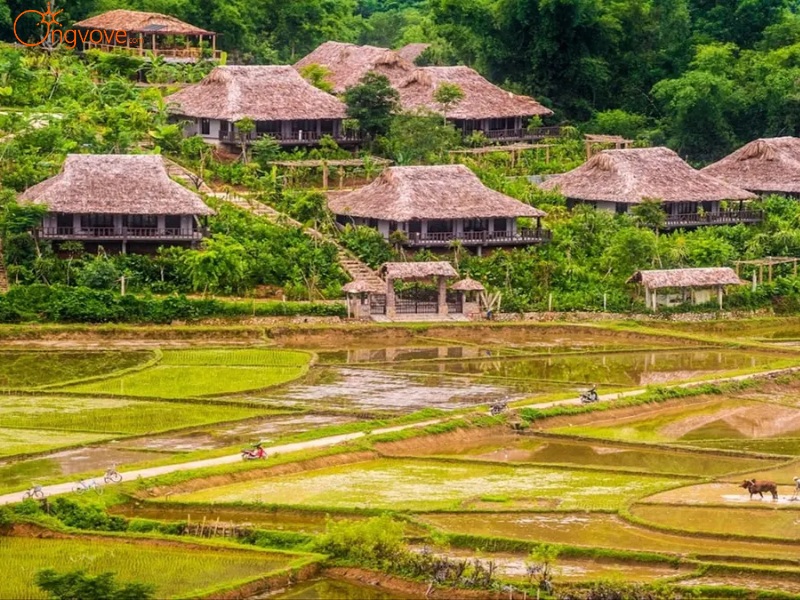 Lịch Sử Và Văn Hóa Độc Đáo Của Vùng Đất Mai Châu Hòa Bình 