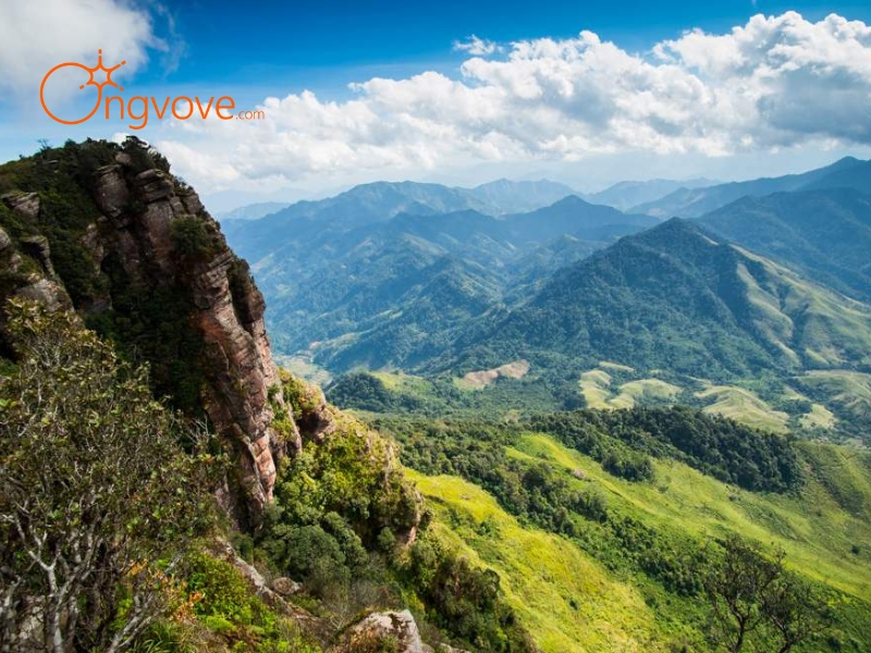 Những địa điểm check-in Mộc Châu gần Phiêng Luông