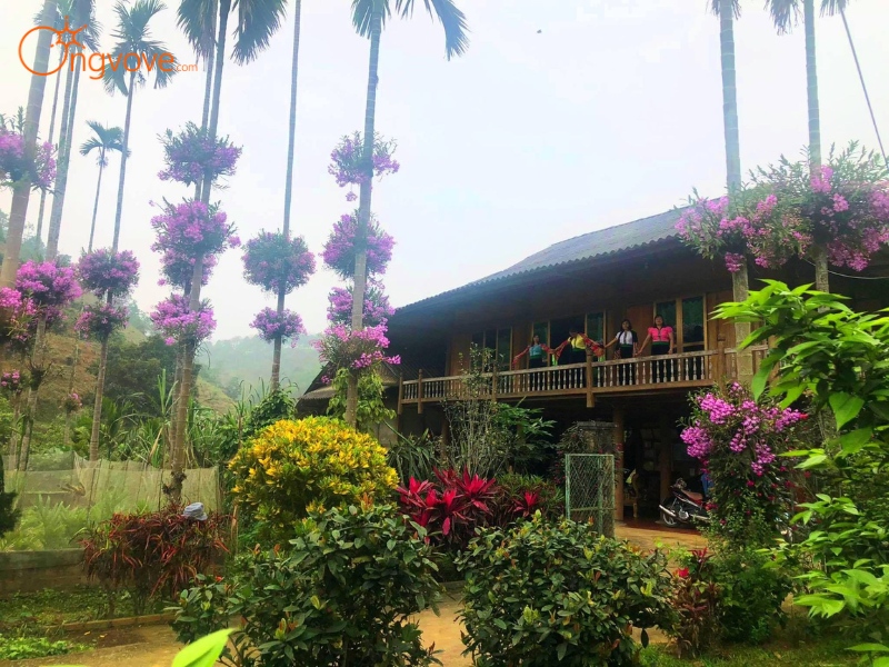 Những Điều Cần Lưu Ý Khi Đến Một Khu Vườn Sơn La Tự Túc