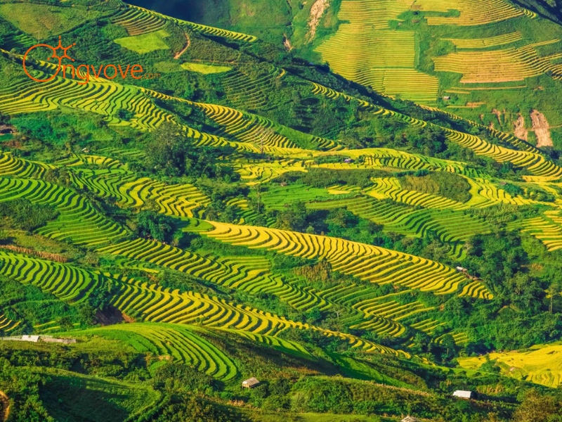 Những Trải Nghiệm Du Lịch Tự Túc Không Thể Bỏ Lỡ
