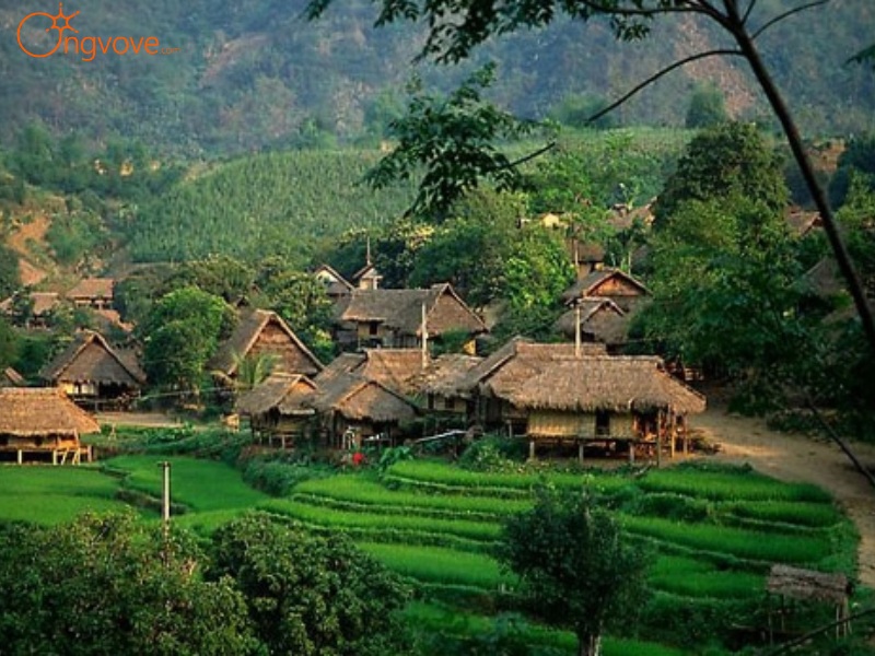Ong Vò Vẽ Travel Chuyên Cung Cấp Thông Tin Tour, Địa Điểm Du Lịch Tại Khu Du Lịch Bản Lác Hòa Bình Tự Túc