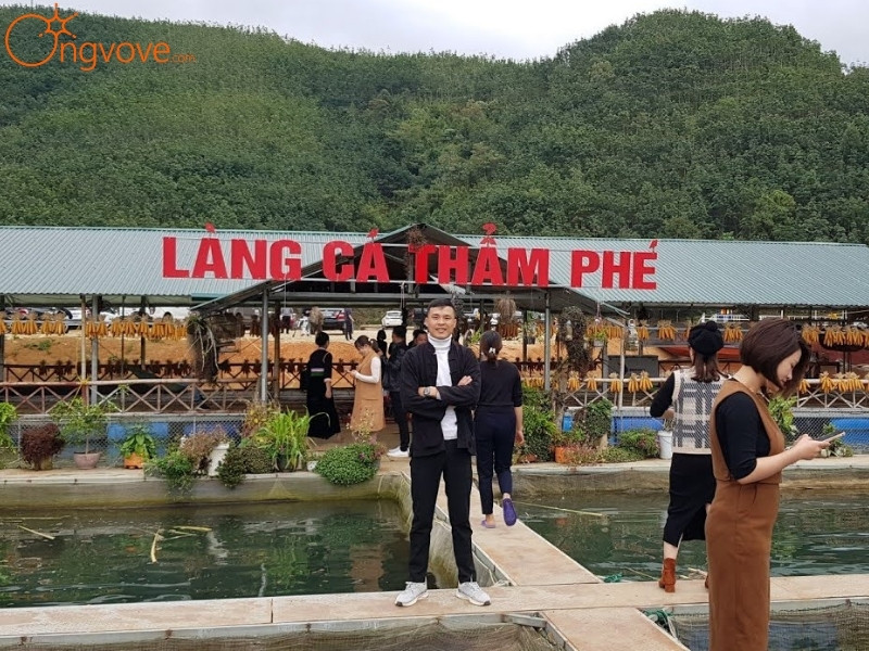 Ong Vò Vẽ Travel Chuyên Cung Cấp Thông Tin Tour, Địa Điểm Du Lịch Tại Làng Cá Thẳm Phé Lai Châu