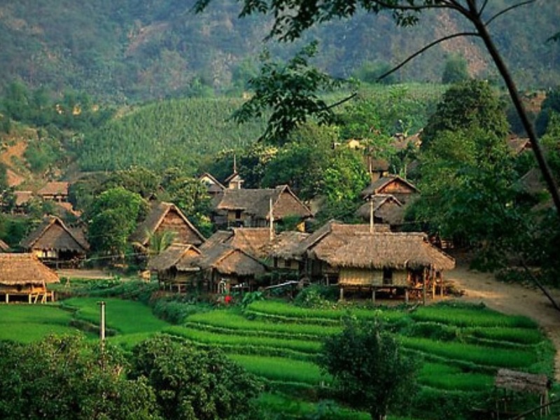 Ong Vò Vẽ Travel - Người Đồng Hành Tin Cậy Cho Chuyến Du Lịch Mai Châu Hòa Bình