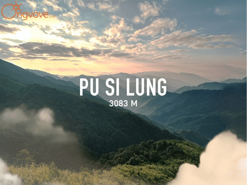 Ong Vò Vẽ Travel Chuyên Cung Cấp Thông Tin Tour, Địa Điểm Du Lịch Tại Đỉnh Pu Si Lung Lai Châu 