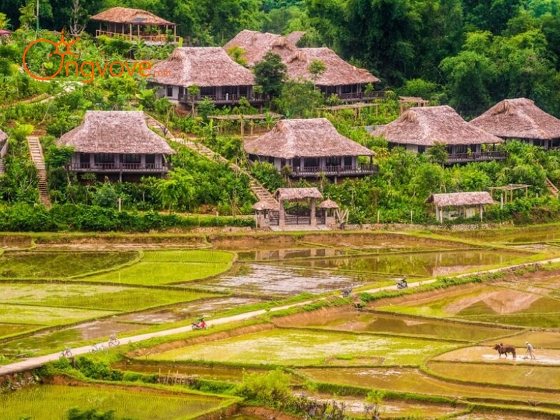 Sơ lược về Bản Pom Coọng Hòa Bình tự túc