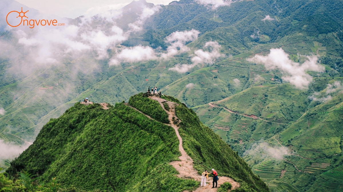 Sống Lưng Khủng Long - điểm Săn Mây Sơn La tự túc