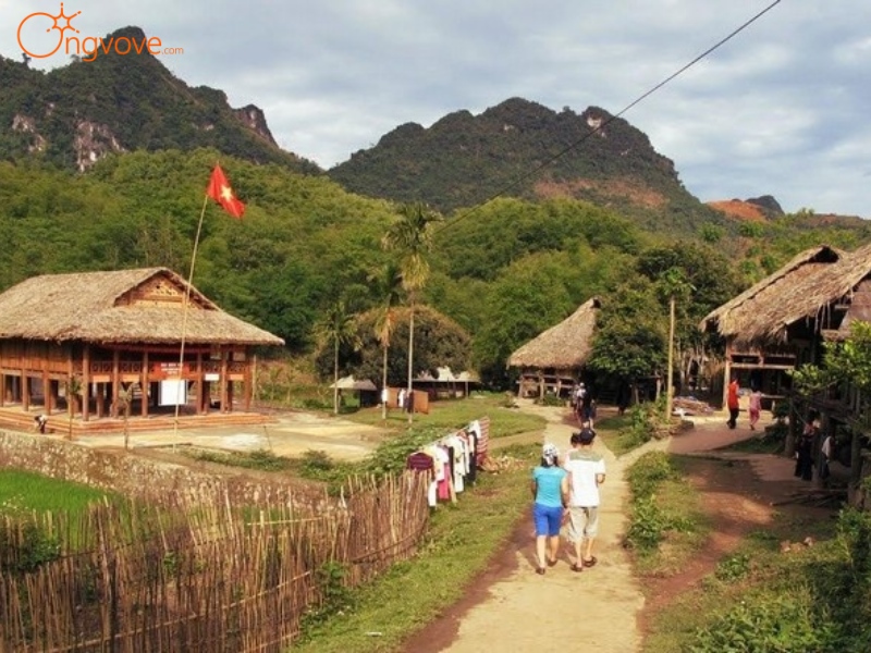 Sử Dụng Dịch Vụ Du Lịch “Bản Giang Mỗ Hòa Bình Tự Túc” Tại Nền Tảng Ong Vò Vẽ Travel