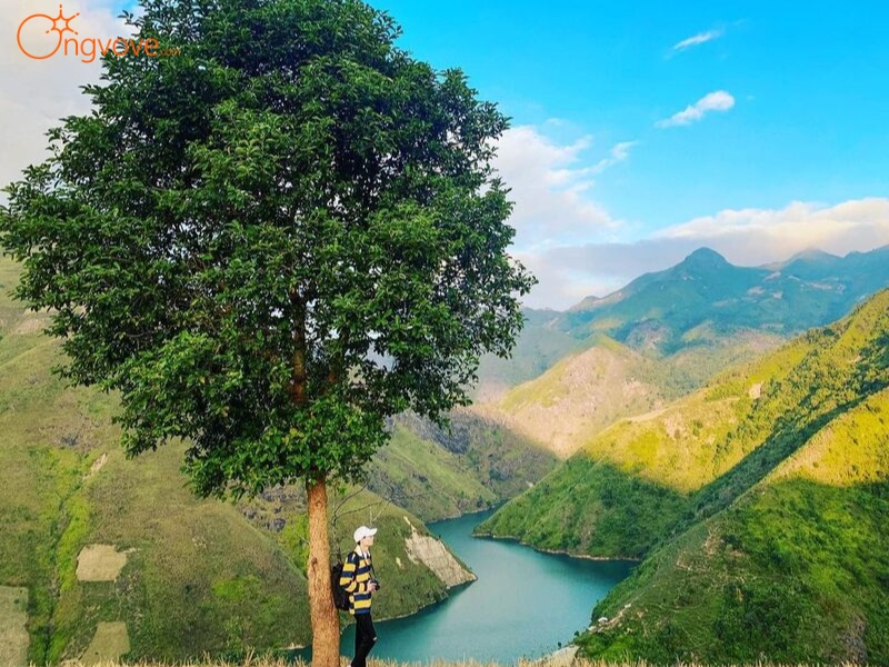 Sử Dụng Dịch Vụ Du Lịch "Cây Cô Đơn Tà Xùa Sơn La Tự Túc" Tại Nền Tảng Ong Vò Vẽ Travel