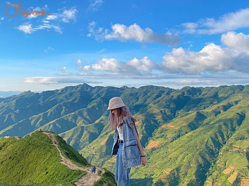Sử Dụng Dịch Vụ Du Lịch "Sống Lưng Khủng Long - điểm Săn Mây Sơn La tự túc" Tại Nền Tảng Ong Vò Vẽ Travel