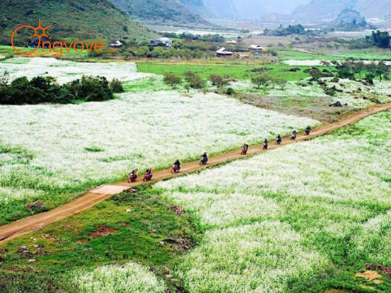 Sử dụng dịch vụ du lịch "Thung lũng Phiêng Luông Mộc Châu Sơn La tự túc" tại nền tảng Ong Vò Vẽ Travel
