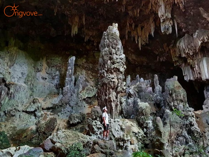 Sử dụng dịch vụ "Hang Mỏ Luông Hòa Bình tự túc" tại nền tảng Ong Vò Vẽ Travel