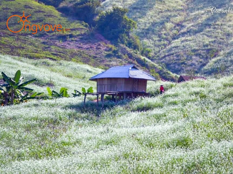 Thời Điểm Thích Hợp Để Tham Quan Và Khám Phá