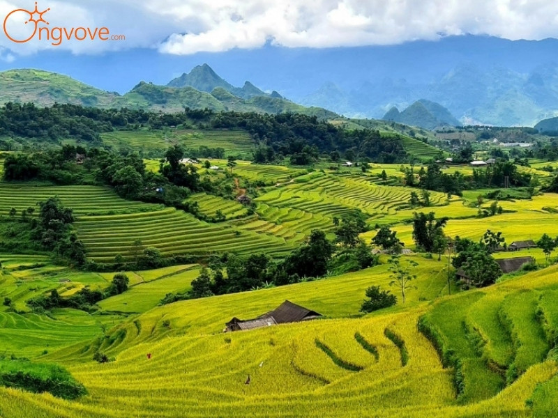 Thời Tiết Ở Lai Châu Nên Đến Cây Cô Đơn Ta Gia Lai Châu Vào Mùa Nào