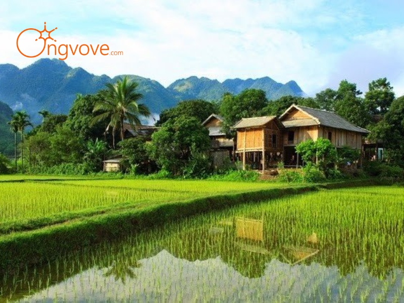 Thời Tiết Tại Hòa Bình