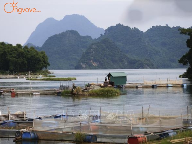 Thưởng thức đặc sản, món ăn ngon – Khu du lịch xóm Đá Bia Hòa Bình tự túc