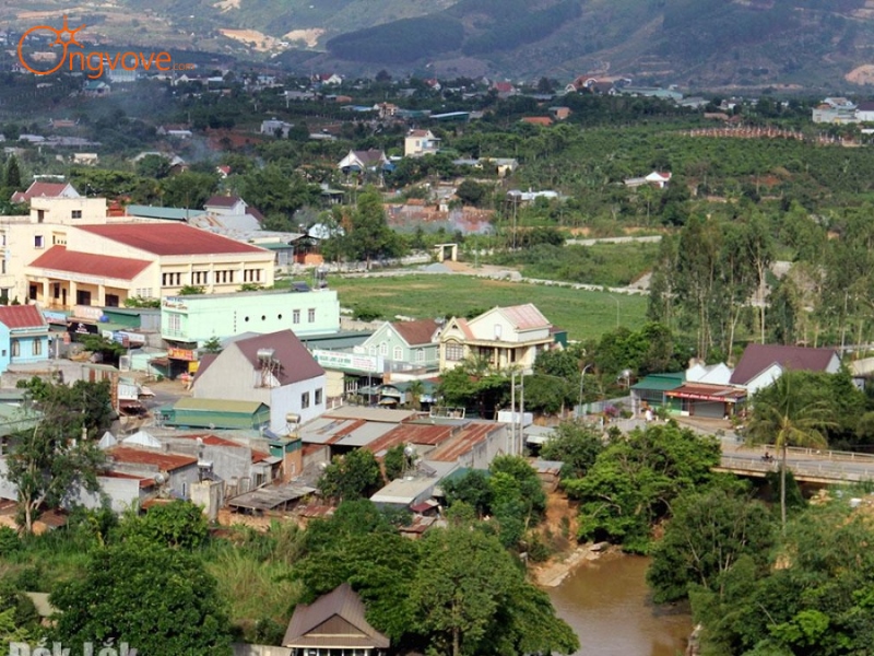 Trải Nghiệm Tại Một Khu Vườn Sơn La Tự Túc