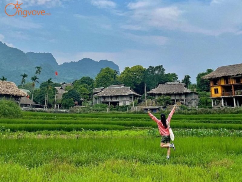 Vẻ Đẹp Của Bản Giang Mỗ Hòa Bình
