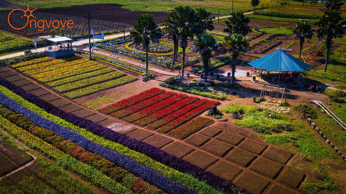 Bình nguyên xanh Khai Trung Yên Bái tự túc