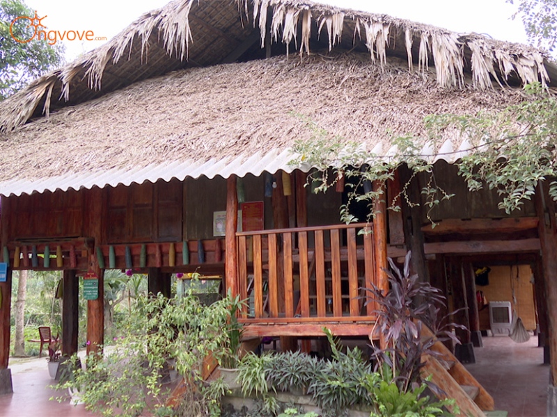 Sử Dụng Dịch Vụ Du Lịch "Bản Ngòi Tu Yên Bái tự túc" Tại Nền Tảng Ong Vò Vẽ Travel