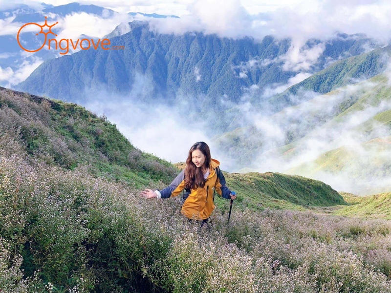 Sử dụng dịch vụ du lịch “Tà Chì Nhù Yên Bái tự túc” tại nền tảng Ong Vò Vẽ Travel