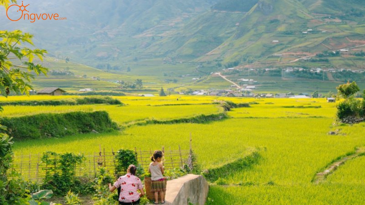 Thác Mơ Mù Cang Chải tự túc
