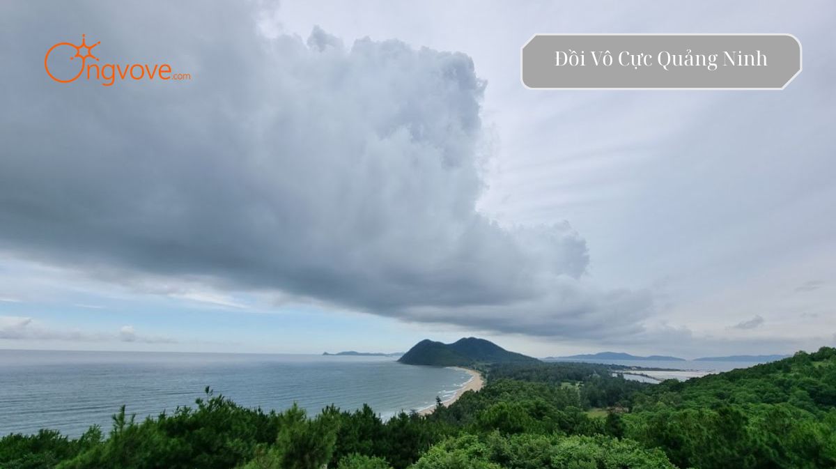 Vi vu Đồi Vô Cực Quảng Ninh tự túc