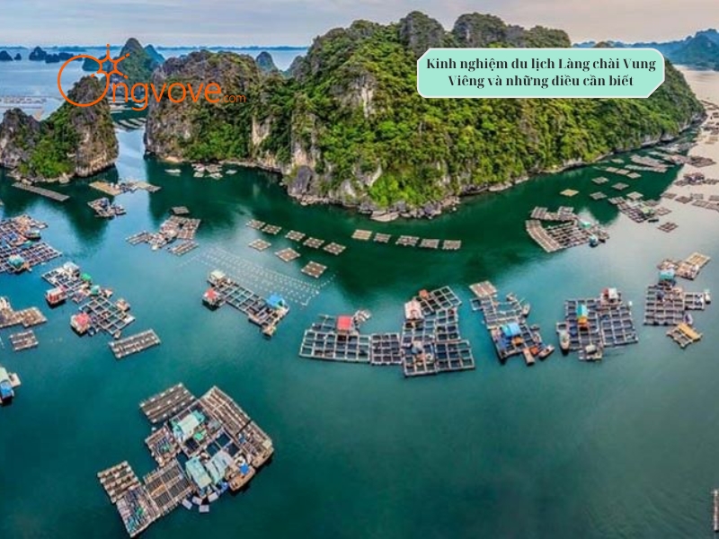 Ong Vò Vẽ Travel - cung cấp dịch vụ du lịch đến Làng chài Vung Viêng Quảng Ninh với lịch trình hấp dẫn dành riêng cho bạn.