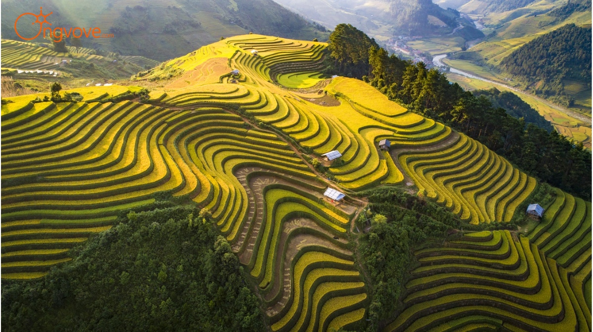 Khám phá Tú Lệ Yên Bái Tự Túc